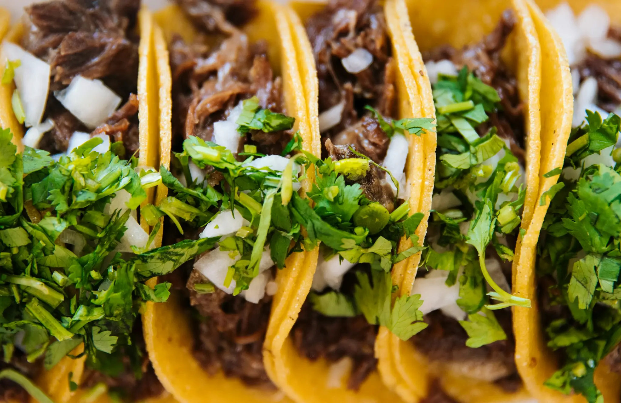 a plate of tacos